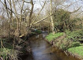 Cottage in Thirsk With Scenic Trails & Spa
