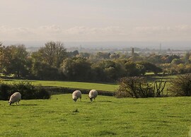 Cottage in Thirsk With Scenic Trails & Spa