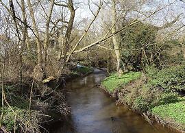 Lodge in Thirsk With Scenic Trails & Spa