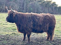 Glen Lyon Lodge Bed & Breakfast