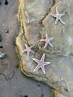 Glen Lyon Lodge Bed & Breakfast