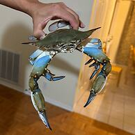 Blue Crab Bayou Cottage 2 Bedroom Home