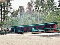 Ponderosa Pines