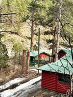 Ponderosa Pines