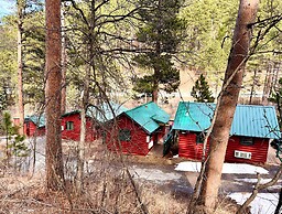 Ponderosa Pines