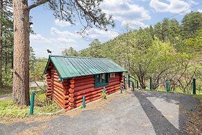 Ponderosa Pines