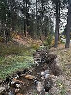 Ponderosa Pines
