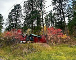 Ponderosa Pines