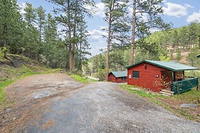 Ponderosa Pines