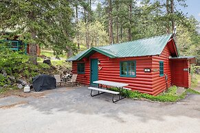 Ponderosa Pines