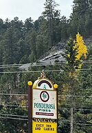 Ponderosa Pines