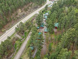 Ponderosa Pines