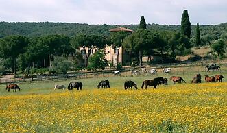 Bio Agriturismo Corte degli Ulivi