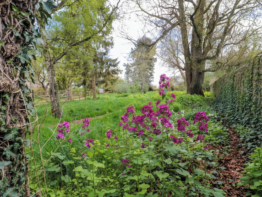 Snape Castle Garden Lodge