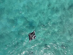 Wings by Hawks Hotels Kamadhoo Baa Atoll