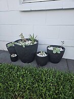 Modern Stylish Apartment