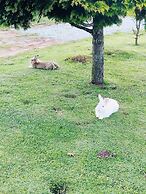 Pousada Blue Village