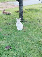 Pousada Blue Village