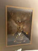 Luxurious Melbourne Apartment With City Views