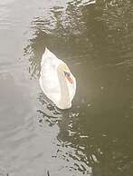 Riverbank Cottage River Ehan, Double Balcony