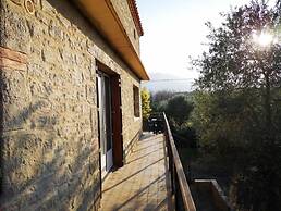 Les Pierres De La Massane