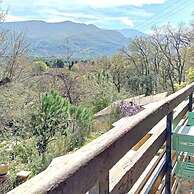 Les Pierres De La Massane