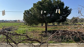 Villetta Certosina 2 Countryside 7 Beds a few Meters From the sea