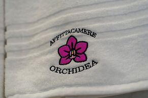 Affittacamere Orchidea