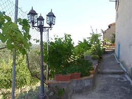 Apartamentos Casa Mata
