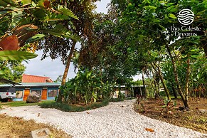 Hotel Rio Celeste Dreams