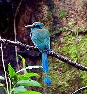 Hotel Rio Celeste Dreams