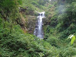 Hotel Rio Celeste Dreams