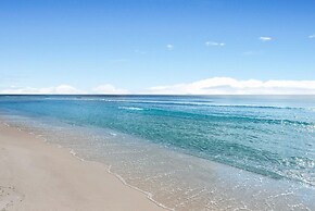 Jack Chasin' Birdies