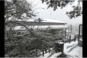 Cozy Mountain Cottage