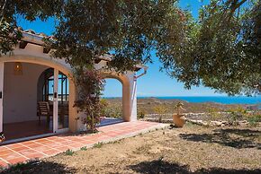 Los Lobitos in Cumbre del Sol