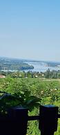 Holiday House in Smederevo With City, Garden, and River Views