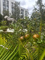 Rio Eco Gardens