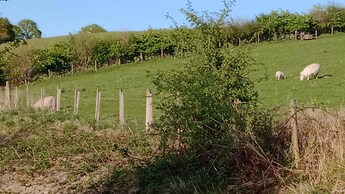 Llandovery - Cabin - Sleeps 2 - Parking - Garden