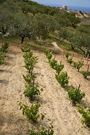 Oliva Emerald Eco - Secluded Off-grid Vineyard Villa