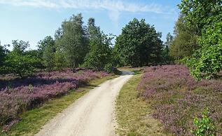 Forest Villa in Markelo With Sunny Garden