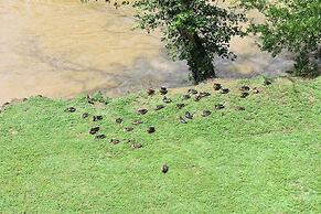 Pigeon River View Condos