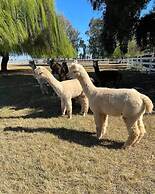 @ Marbella Lane - Alpaca Farm House l Pool