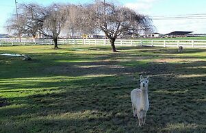 @ Marbella Lane - Alpaca Farm House l Pool