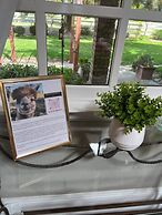 @ Marbella Lane - Alpaca Farm House l Pool