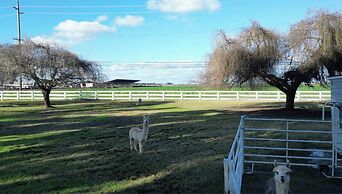 @ Marbella Lane - Alpaca Farm House l Pool