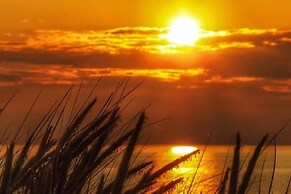 Quackers-seaside Village-pet Friendly-parking-