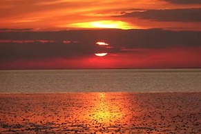 Quackers-seaside Village-pet Friendly-parking-