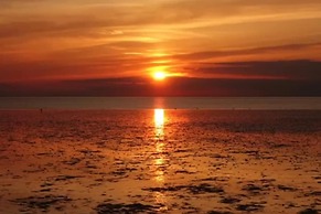 Quackers-seaside Village-pet Friendly-parking-