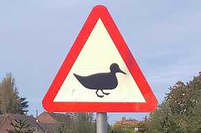 Quackers-seaside Village-pet Friendly-parking-