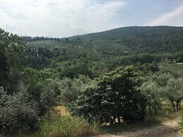 Wine Apartments Florence Lawrence